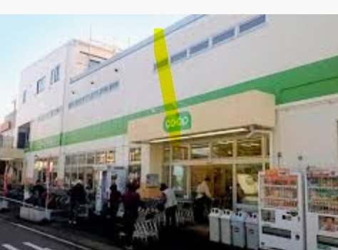 川越市大字砂新田の中古一戸建て(コープ高階店)