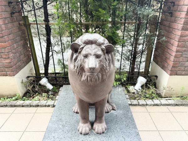 ライオンズ川越新富町