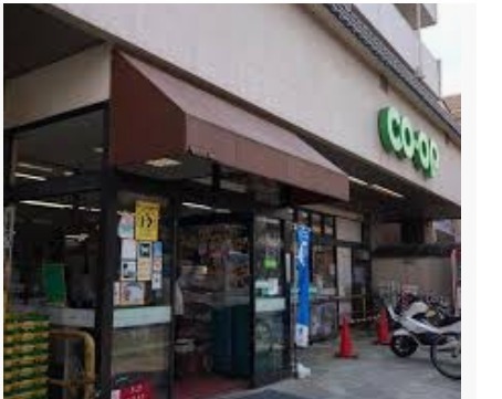 ラフィーネ川越(ミニコープ仲町店)