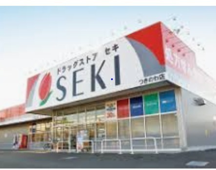 川越市大字今福の中古一戸建て(ドラッグストアセキ今福店)