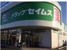 坂戸市大字成願寺の中古一戸建て(ドラッグセイムス坂戸入西店)