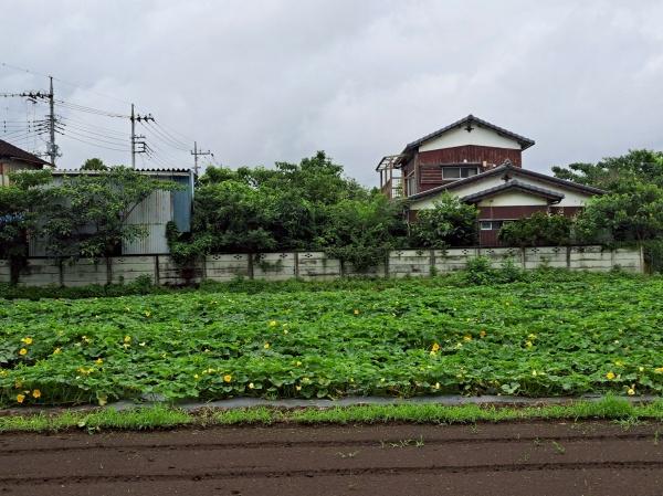 毛呂山町大字市場