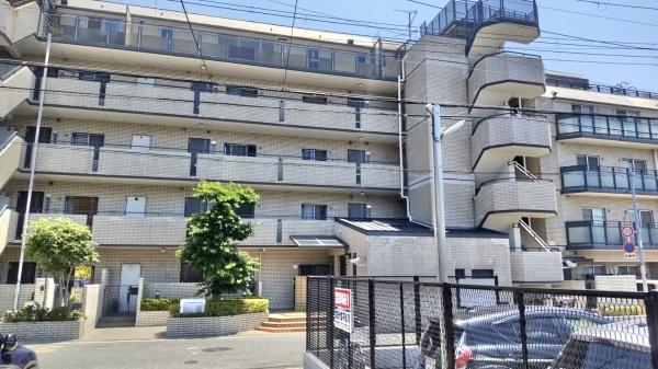 ルネ山坂