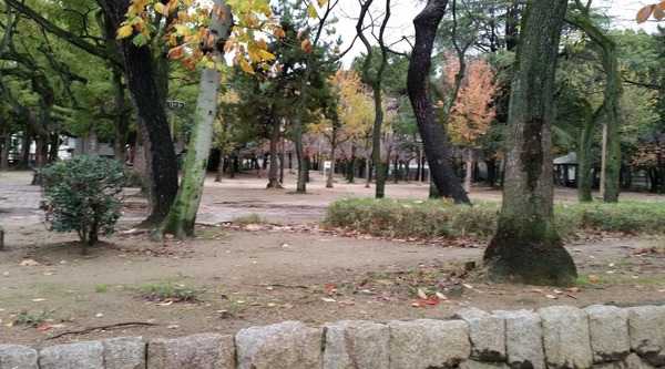 イトーピア北畠(晴明丘中央公園)