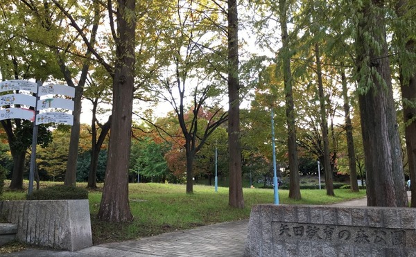 大阪市東住吉区住道矢田３丁目の新築一戸建(矢田教育の森公園)