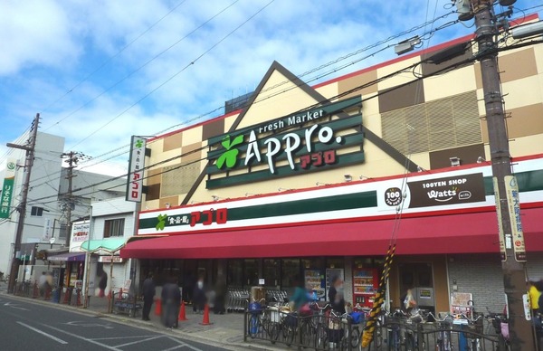 大阪市生野区田島４丁目の中古一戸建て(食品館アプロ大池橋店)