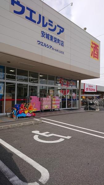 安城市赤松町本郷の土地(ウエルシア安城東栄町店)