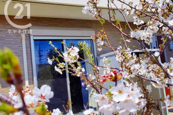 知多市新舞子字廻間の中古一戸建て