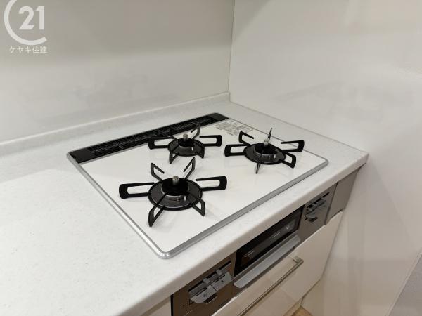 安城市安城町馬池の中古一戸建て