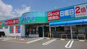 蒲郡市中央本町の土地(ドラッグスギヤマ宝店)