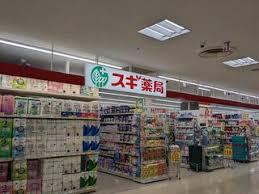 碧南第61源氏神明町 1号棟(スギ薬局碧南幸店)