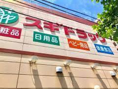 安城市三河安城東町1丁目の中古一戸建て(スギドラッグ三河安城店)