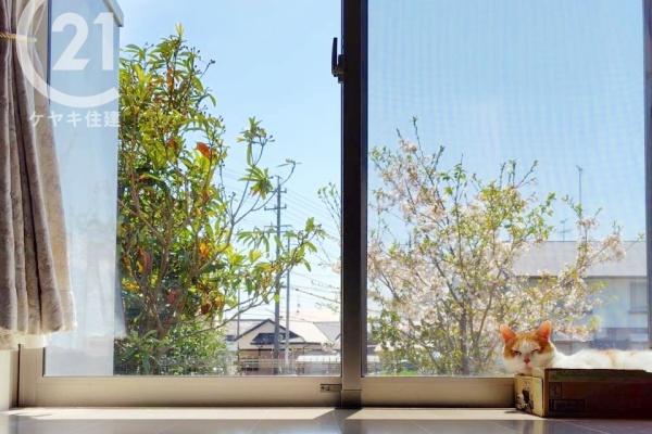 知多市新舞子字廻間の中古一戸建て