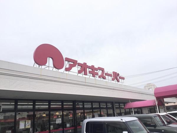 愛知郡東郷町北山台3丁目の中古一戸建て(アオキスーパー白鳥店)