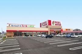 西尾市下矢田町郷の中古一戸建て(フィールAELU)