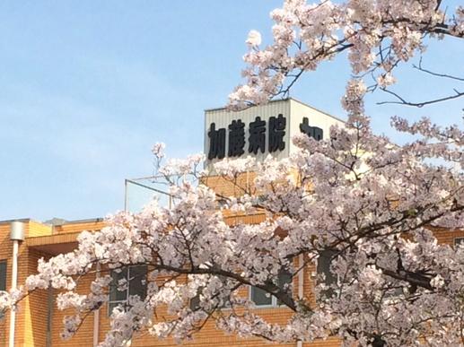 西尾市中畑町向野の中古一戸建て(医療法人十喜会加藤病院)