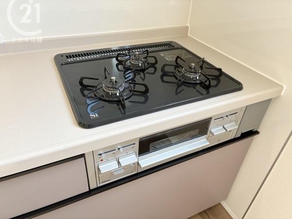 碧南第66照光町　1号棟