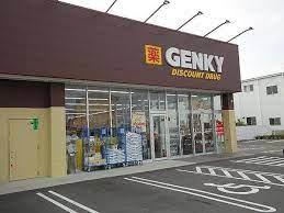 西尾市一色町西塩浜第2　1号棟(ゲンキー一色南部店)
