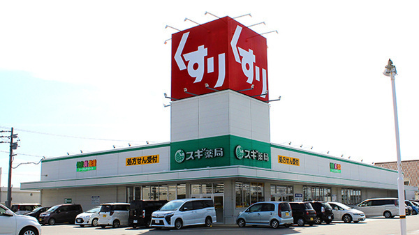 碧南第65尾城町　1号棟(スギ薬局碧南城山店)