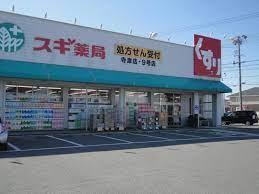 西尾市寺津町　第11　1号棟(スギ薬局寺津店)