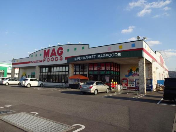安城市小川町　第10　1号棟(マグフーズ中島店)
