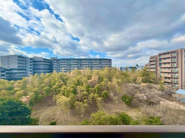ヴィルヌーブ緑地公園