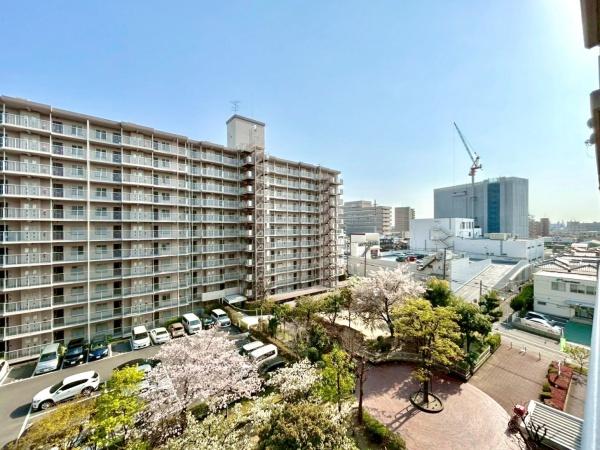 レックスタウン新高１号館