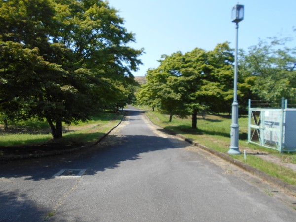 速見郡日出町大字南畑の土地