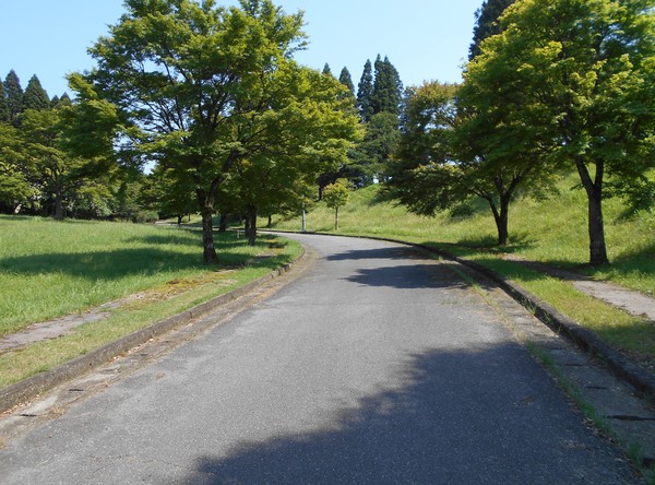 速見郡日出町大字南畑の売土地