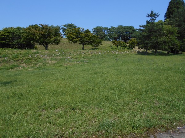 速見郡日出町大字南畑の土地