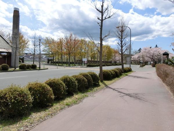 青森市大字安田字近野の土地(青森県総合運動公園)