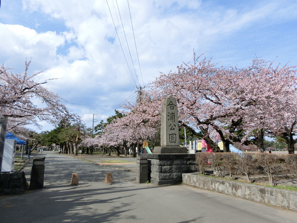 青森市花園２丁目の土地(合浦公園)