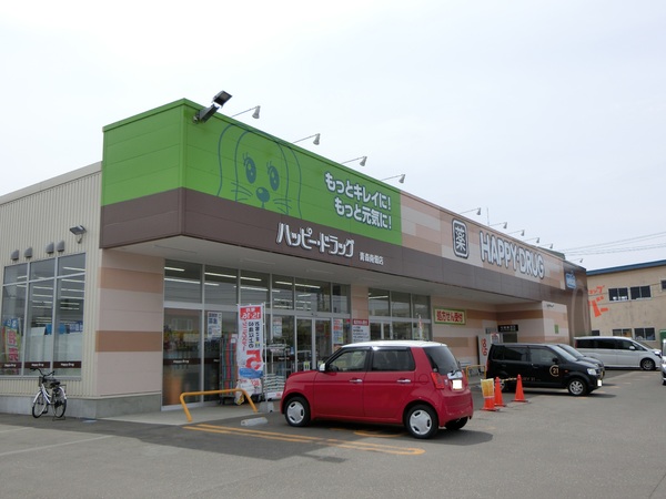 岡造道1丁目新築建売①(ハッピードラッグ　青森南佃店)