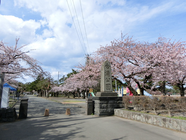 青森市合浦2丁目の土地(合浦公園)