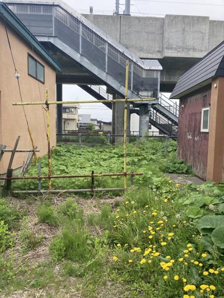 青森市大字石江字江渡の土地