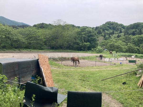 矢田山野井　土地