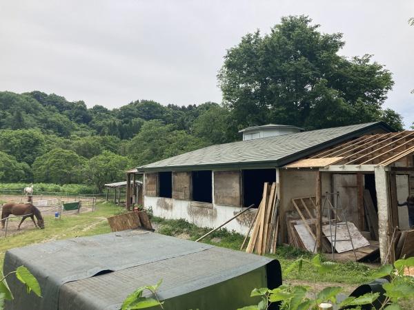 矢田山野井　土地