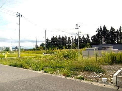 新城平岡 土地