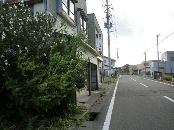 黒石市昭和町の土地