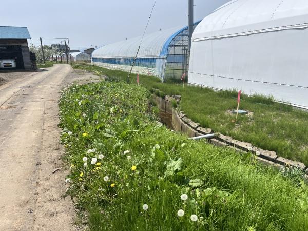 北津軽郡板柳町大字滝井字前田の土地