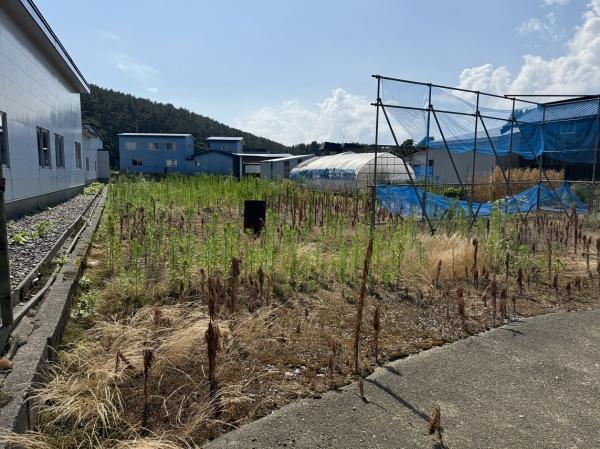 つがる市富萢町清水の中古一戸建て