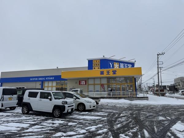弘前市大字桔梗野５丁目の土地(薬王堂弘前若葉店)
