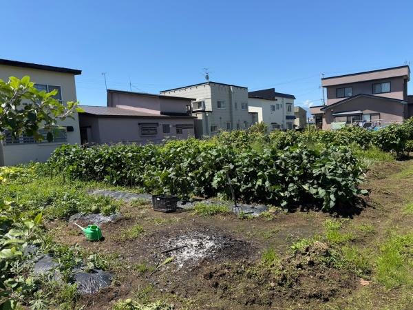 南津軽郡藤崎町大字常盤字富田の中古一戸建て