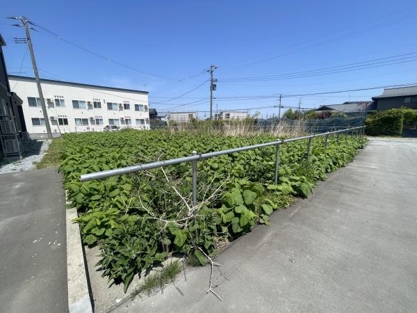 上北郡おいらせ町青葉１丁目の土地