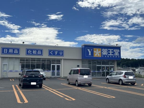 八戸市大字田面木字上野平の土地(薬王堂八戸ニュータウン店)