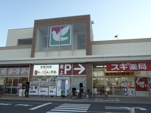 厚木市温水西2丁目の土地(ヨークマート南毛利店)