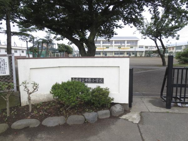 平塚市御殿３丁目の土地(平塚市立中原小学校)