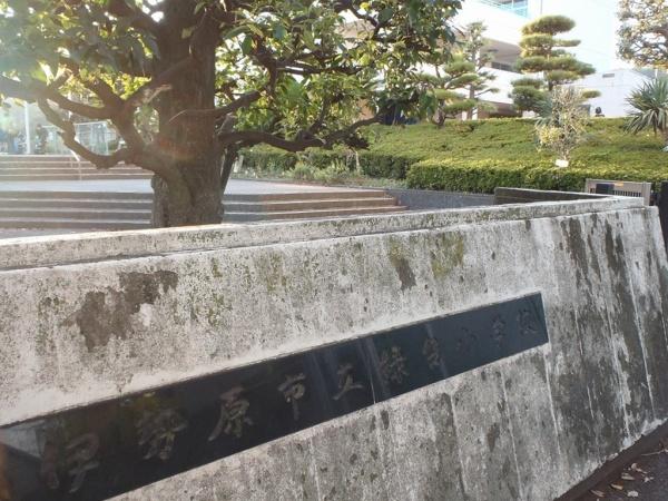 伊勢原市高森台3丁目の土地(伊勢原市立緑台小学校)