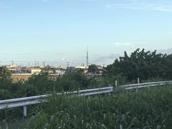八潮市大字古新田の中古一戸建て