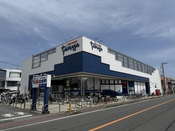 茅ヶ崎市松浪２丁目の土地(たまや浜竹店)